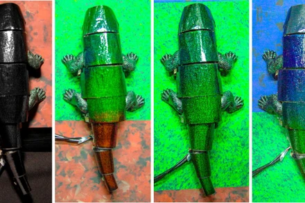Robot tắc kè hoa được phủ lớp da nhân tạo thay đổi màu da dựa trên môi trường xung quanh. Ảnh: Giáo sư Ko Seung-hwan/Reuters.