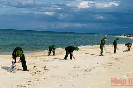 Bộ đội biên phòng Quảng Bình tổ chức thu gom lượng dầu vón cục, làm sạch bãi biển. 