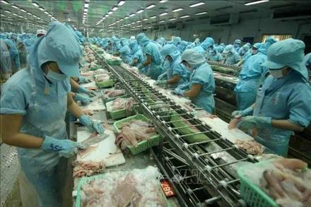 Ngành thủy sản đối mặt với nhiều khó khăn thách thức trong những tháng cuối năm. (ảnh TTXVN)