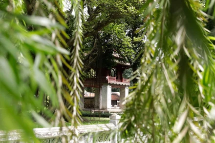 Nét đẹp trầm tư của Văn Miếu – Quốc Tử Giám trong thời gian giãn cách xã hội.