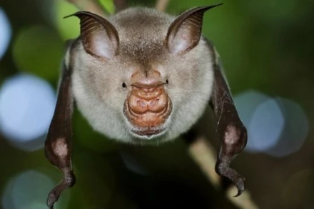 Ảnh: Shutterstock.