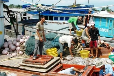 Ngư dân vùng biển huyện Đông Hải (Bạc Liêu). 