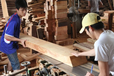 Khát nguồn cung gỗ nguyên liệu cho xuất khẩu.