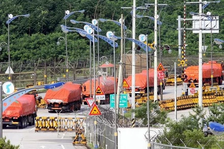 Đoàn xe tải của Hàn Quốc vận chuyển gạo viện trợ cho Triều Tiên di chuyển qua khu vực phi quân sự ở Paju, phía bắc Seoul. (Ảnh (tư liệu): AFP/TTXVN)