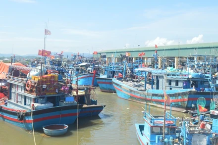 Từ ngày 15/9, các cảng cá, bến cá ở Quảng Ngãi tạm dừng hoạt động để phòng, chống dịch.