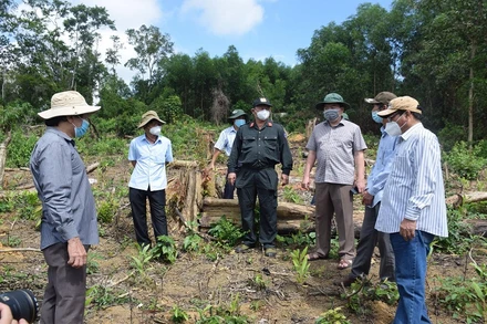 Chủ tịch UBND tỉnh Phú Yên Trần Hữu Thế kiểm tra, chỉ đạo tại hiện trường vụ phá rừng phòng hộ tại thôn Tân Thành, xã Sơn Hội, huyện Sơn Hòa theo báo Nhân Dân phản ảnh.