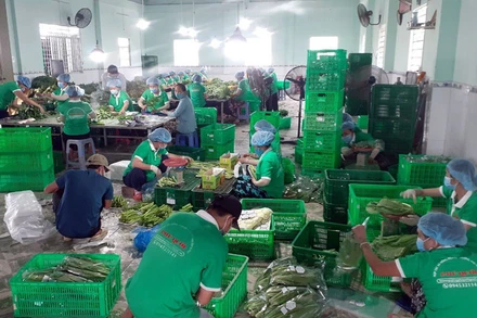 Người dân Tiền Giang đóng gói combo hàng nông sản cung ứng cho TP Hồ Chí Minh.