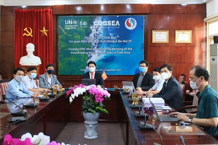 Đại biểu tham dự Hội nghị IGM 25 tại đầu cầu Việt Nam. (Ảnh: VASI)