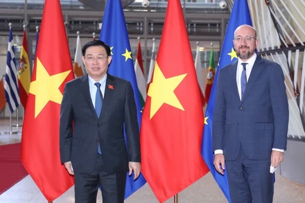 Chủ tịch Quốc hội Vương Đình Huệ hội kiến Chủ tịch Hội đồng châu Âu Charles Michel. (Ảnh: Doãn Tấn/TTXVN)
