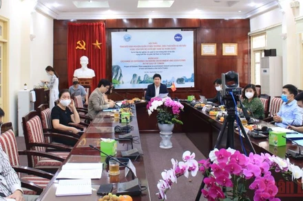 Các đại biểu tham dự hội thảo trực tuyến tại điểm cầu Tổng cục Biển và Hải đảo Việt Nam. (Ảnh: TRUNG TUYẾN).