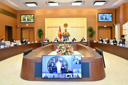 Quang cảnh Hội nghị trực tuyến với Đoàn doanh nghiệp cấp cao của Hội đồng kinh doanh Hoa Kỳ - ASEAN. (Ảnh: Duy Linh)