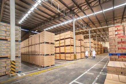 Kho thành phẩm trong một nhà máy của Vinamilk, tồn kho linh hoạt bảo đ cung ứng trong nước và cả xuất khẩu theo diễn biến của Covid-19. 