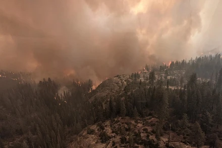 Đám cháy mang tên KNP Complex lan rộng tại Vườn quốc gia Sequoia, California, Mỹ ngày 18/9. Ảnh: Vườn quốc gia Sequoia.