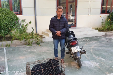 Nguyễn Xuân Đức cùng tang vật là cá thể gấu tại cơ quan công an.