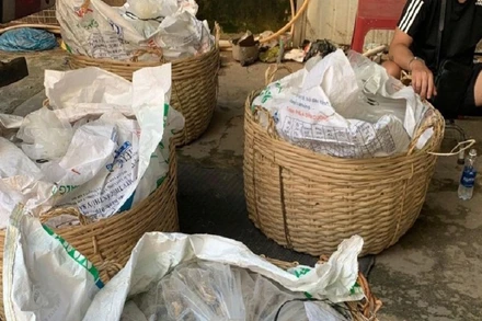 Tang vật bị cơ quan chức năng phát hiện, bắt giữ. (Ảnh: VĂN MINH)