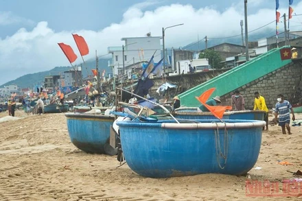 Làng cá Phước Hải (huyện Đất Đỏ) trong ngày đầu “mở biển”.