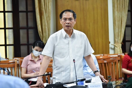 Bộ trưởng Bùi Thanh Sơn. (Ảnh: Báo Thế giới và Việt Nam)