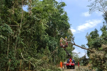 Công nhân Điện lực Điện Biên khắc phục sự cố tại địa bàn xã Pá Khoang, thành phố Điện Biên Phủ.