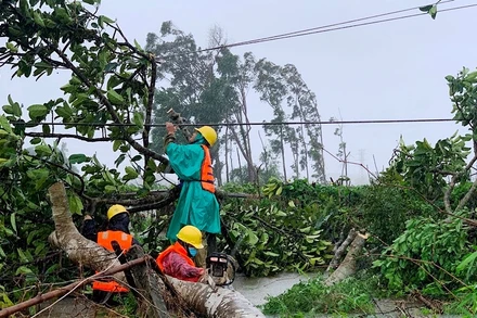 Điện lực các địa phương ở miền trung- Tây Nguyên huy động lực lượng khắc phục sự cố do mưa bão, sớm cấp điện trở lại