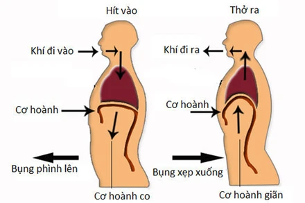 Tập thở đúng cách là một trong những điều bệnh nhân Covid-19 cần lưu ý trong giai đoạn phục hồi. 