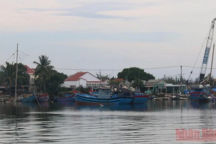 Nhiều tàu thuyền đã di chuyển vào nơi trú ẩn.