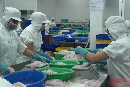 14 Hiệp hội doanh nghiệp đại diện cho cộng đồng doanh nghiệp Viêt Nam gửi kiến nghị đến Thủ tướng.