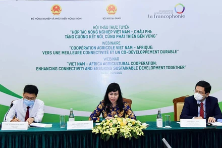 Các đại biểu Việt Nam dự hội thảo.