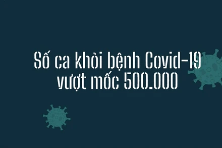 Số ca khỏi bệnh Covid-19 vượt mốc 500.000