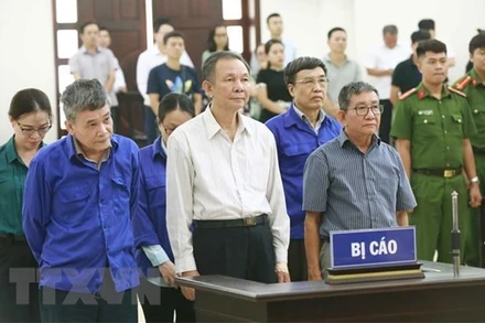 Lê Bạch Hồng (nguyên Thứ trưởng Lao động-Thương binh và Xã hội, nguyên Tổng Giám đốc BHXH Việt Nam) và đồng phạm tại tòa án năm 2019. (Ảnh: TTXVN)