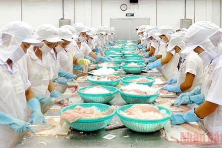 (Ảnh minh họa: THANH TÂM).