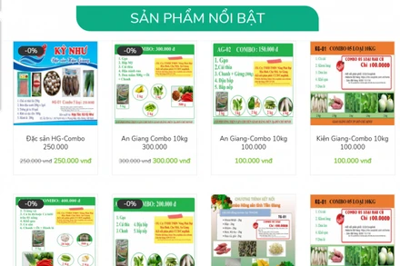 Giao diện trang web đặt mua các túi Combo nông sản.