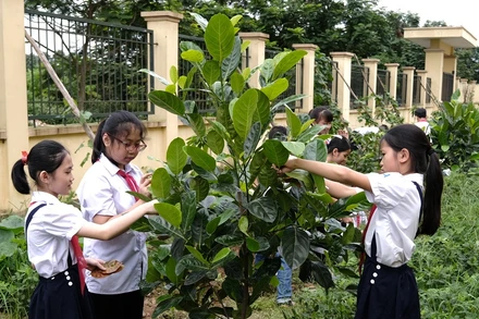 Trồng cây không chỉ để bảo vệ môi trường sống của chúng ta ngày hôm nay mà còn nhằm gìn giữ cho thế hệ tương lai.