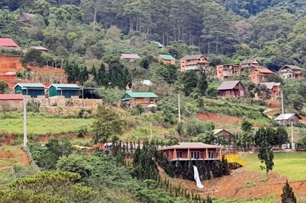 “Làng biệt thự” xây dựng trái phép trên đất lâm nghiệp.