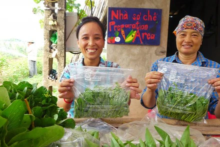 Tổ chức Rikolto của Bỉ hợp tác với các đối tác, tổ chức trong nước giúp nông dân xây dựng năng lực sản xuất và quảng bá rau an toàn (Ảnh minh họa: Rikolto Việt Nam).