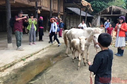 Chụp ảnh check in là một trong những thói quen của du khách "số" hiện nay. Ảnh: Khách du lịch trải nghiệm homestay tại Bắc Hà.