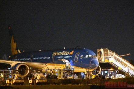 Đà Nẵng tiếp nhận, cách ly 290 công dân về từ Hàn Quốc.