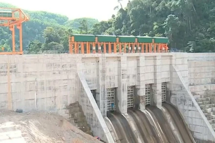 Rút phép hoạt động của Nhà máy thủy điện Thượng Nhật