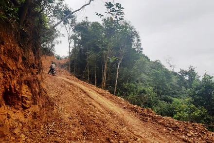 Một đoạn trên tuyến đường mở trái phép vào rừng.