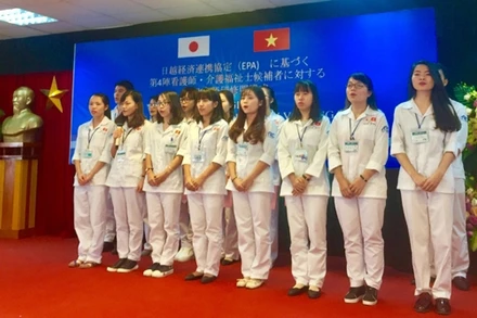 Ứng viên tham gia chương trình đào tạo điều dưỡng, hộ lý sang Nhật Bản (Ảnh: Dolab).