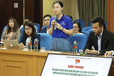 Các đại biểu trí thức trẻ trong và ngoài nước thảo luận tại hội nghị.