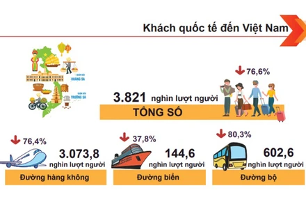 (Ảnh đồ họa: Tổng cục Thống kê)
