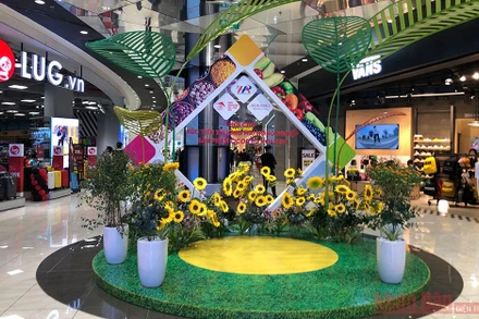 Không gian Hội chợ được trình bày hấp dẫn.