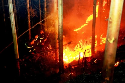 Thảm thực bì dày khiến đám cháy nhanh chóng lan rộng.