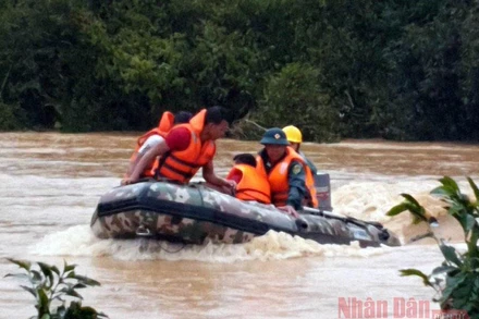 Hai du khách bám vào cành cây giữa dòng lũ dữ được giải cứu.