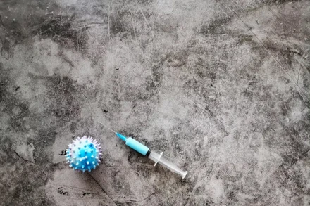 Ảnh: Shutterstock.