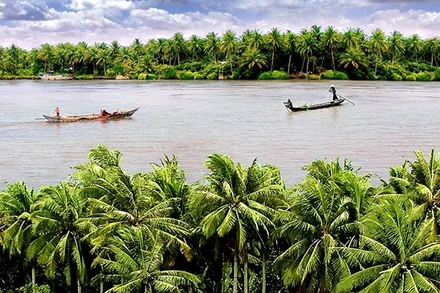 Du lịch xứ Dừa Bến Tre.
