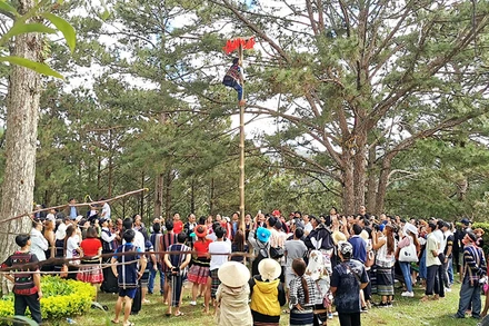 Thi leo cột mỡ trong hội thi các trò chơi dân gian.