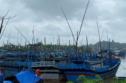 Tàu thuyền của ngư dân thành phố Tuy Hoà đã di chuyển, neo đậu an toàn bên trong sông Chùa, dọc đường Bạch Đằng, trú tránh bão số 12.