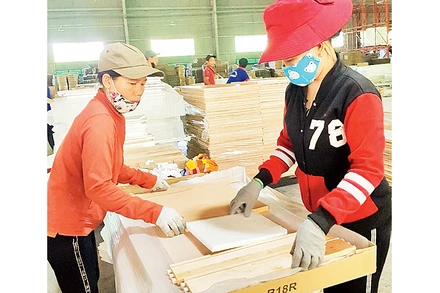 Sản xuất cánh tủ bếp và tủ nhà tắm tại Công ty gỗ Tiến Đạt. Ảnh: Mai Hương