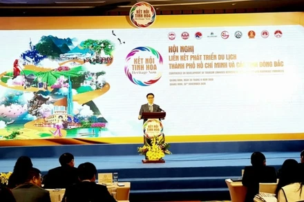 Phó Thủ tướng Chính phủ Vũ Đức Đam phát biểu chỉ đạo tại hội nghị.